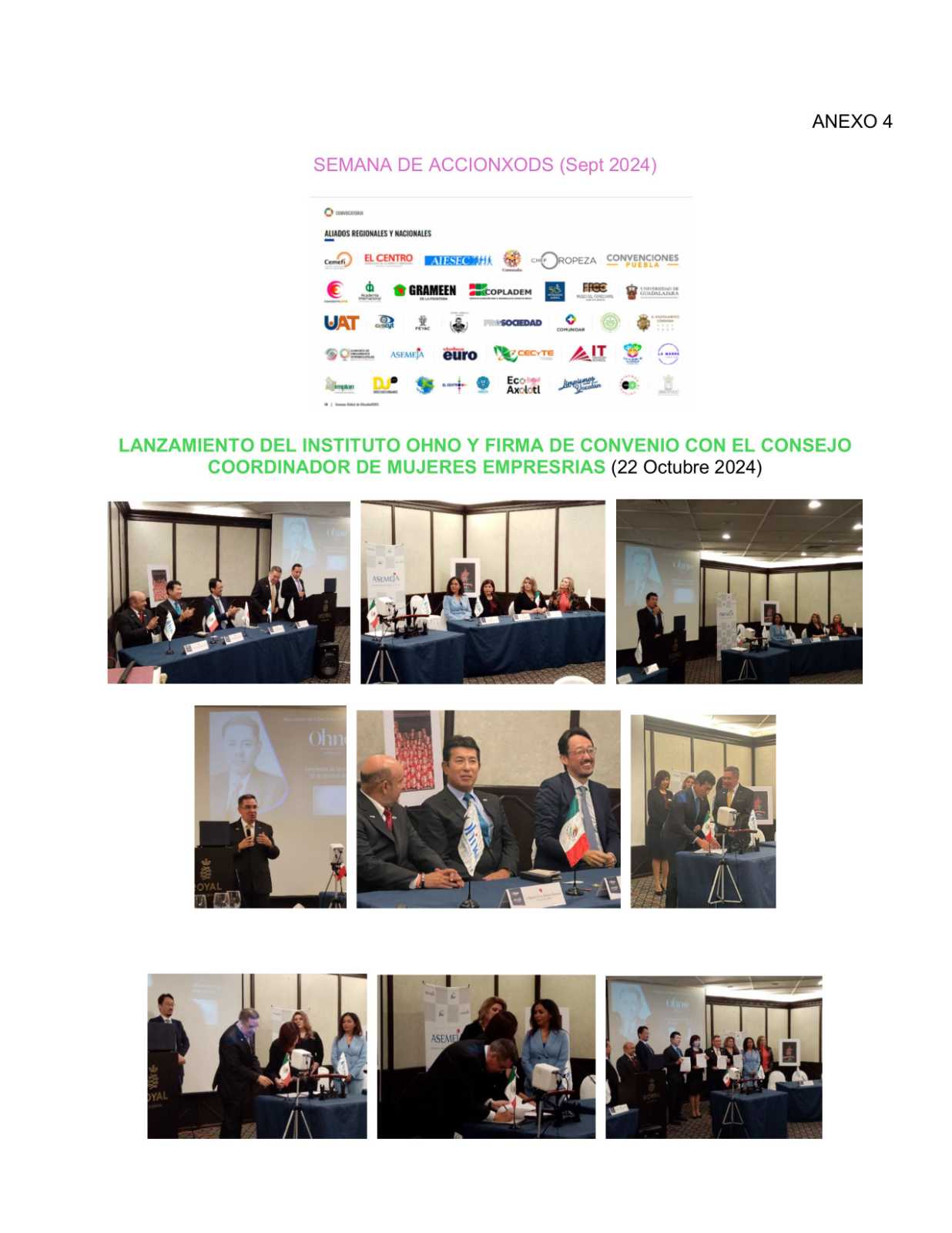 INFORME TECNICO ASEMEJA 2024 2025 (11)